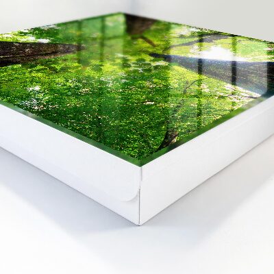 Caja para llaves diseño cielo del bosque