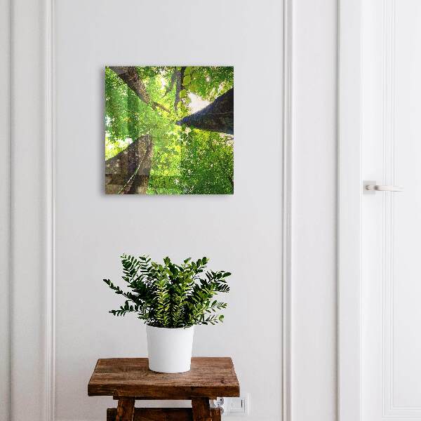 Caja para llaves diseño cielo del bosque