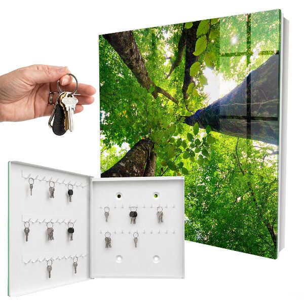 Caja para llaves diseño cielo del bosque