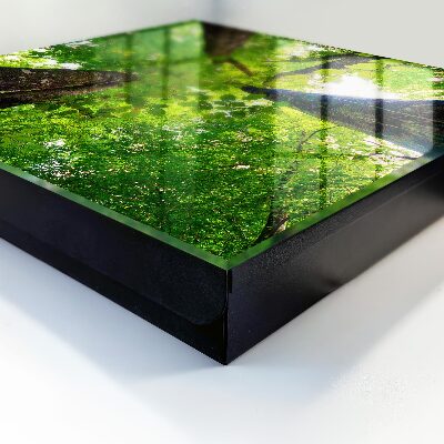 Caja para llaves diseño cielo del bosque