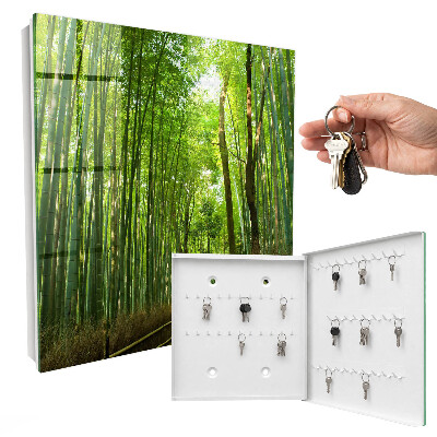 Armario para llaves de pared