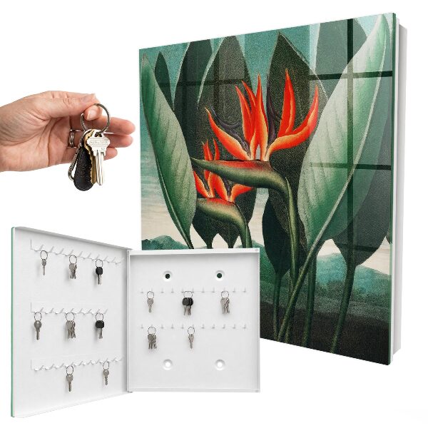 Caja para llaves modelo naturaleza exótica