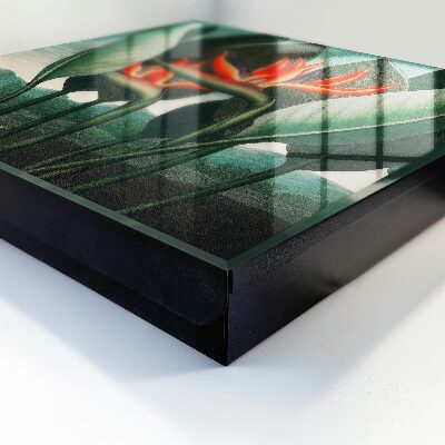 Caja para llaves modelo naturaleza exótica