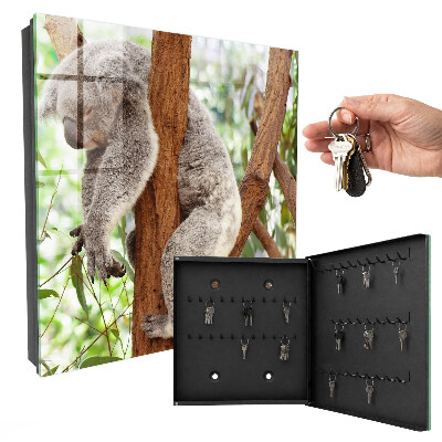 Armario para colgar llaves con diseño de koalas relajados