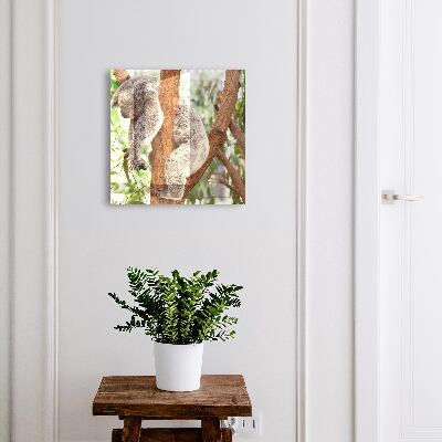 Armario para colgar llaves con diseño de koalas relajados