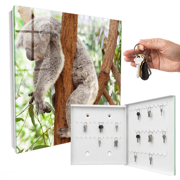 Armario para colgar llaves con diseño de koalas relajados