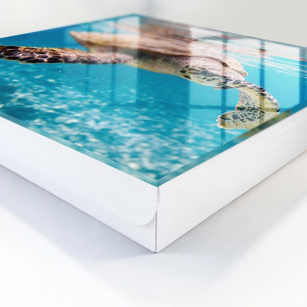 Caja para llaves con diseño de mundo submarino