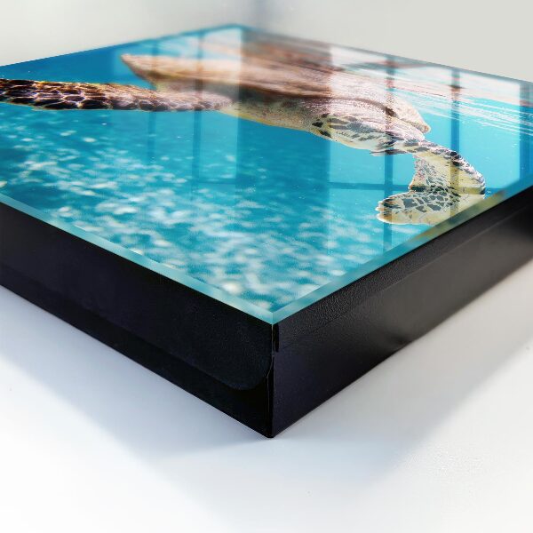 Caja para llaves con diseño de mundo submarino