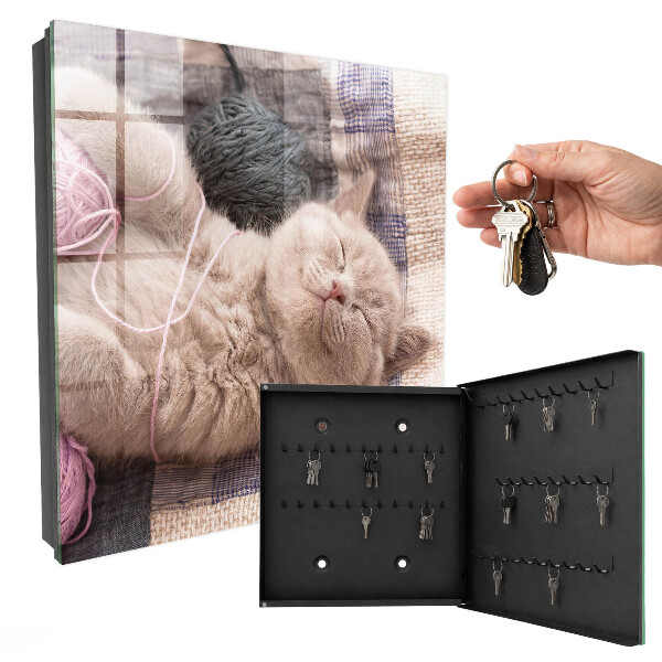 Armario para llaves de pared con diseño de gatito durmiendo