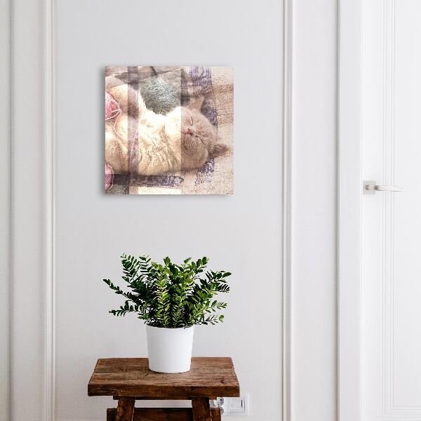 Armario para llaves de pared con diseño de gatito durmiendo