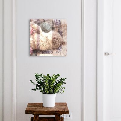 Armario para llaves de pared con diseño de gatito durmiendo