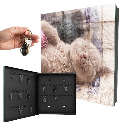 Armario para llaves de pared con diseño de gatito durmiendo