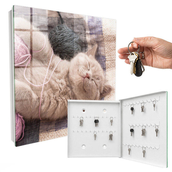 Armario para llaves de pared con diseño de gatito durmiendo