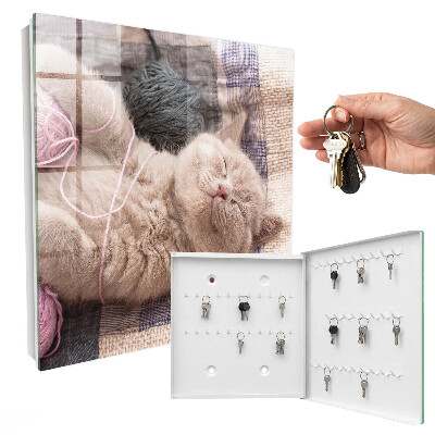 Armario para llaves de pared con diseño de gatito durmiendo