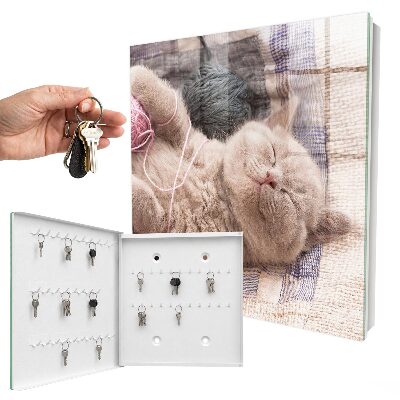 Armario para llaves de pared con diseño de gatito durmiendo