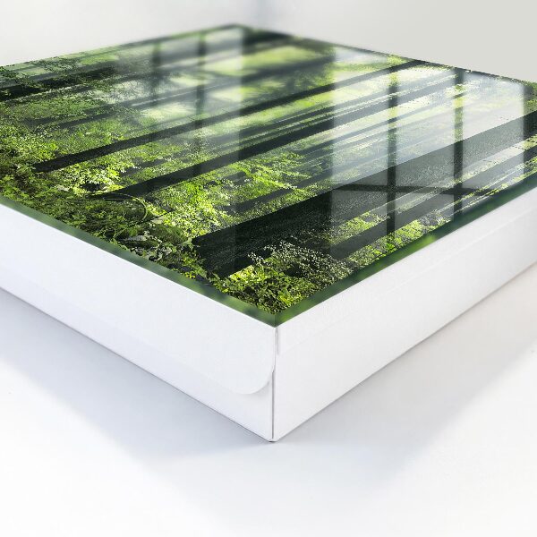 Caja para llaves diseño bosque verde