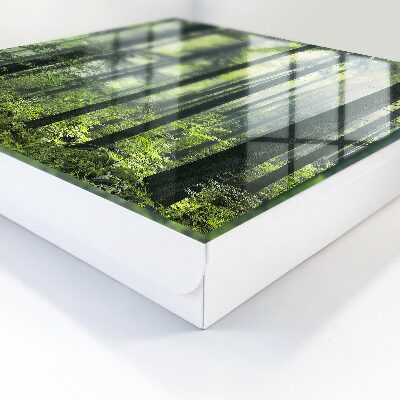 Caja para llaves diseño bosque verde