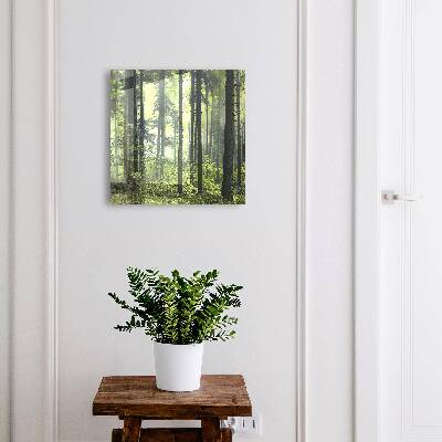 Caja para llaves diseño bosque verde