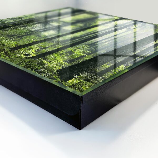 Caja para llaves diseño bosque verde