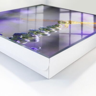 Caja para llaves con diseño de libélula sobre una flor