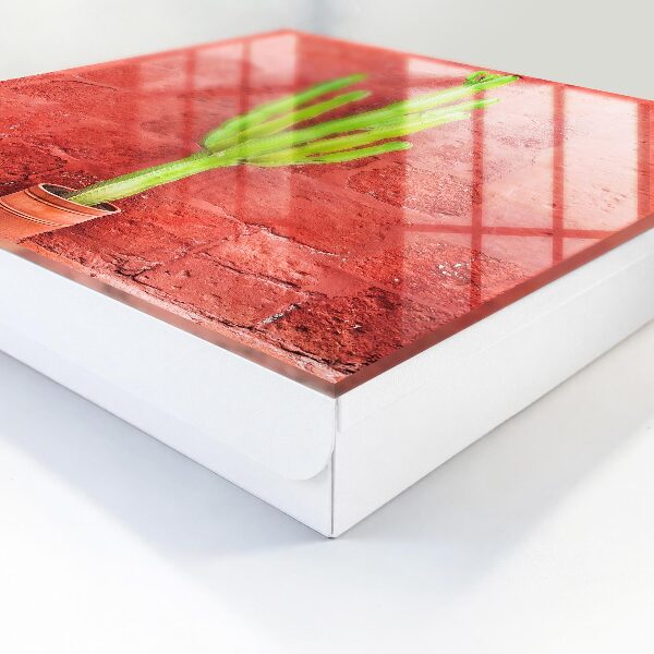Caja para llaves diseño de cactus verde