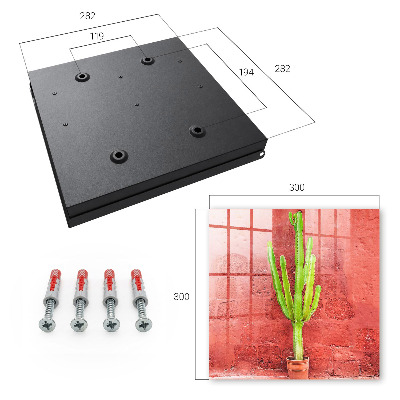 Caja para llaves diseño de cactus verde