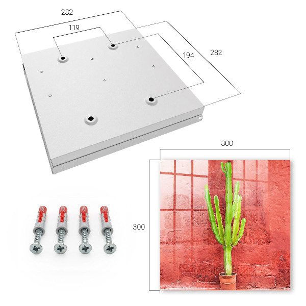 Caja para llaves diseño de cactus verde