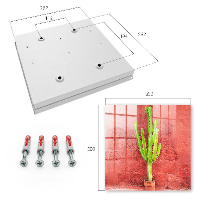 Caja para llaves diseño de cactus verde