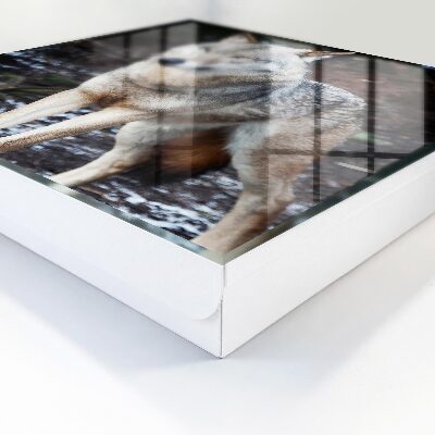 Caja para llaves diseño lobo en el bosque