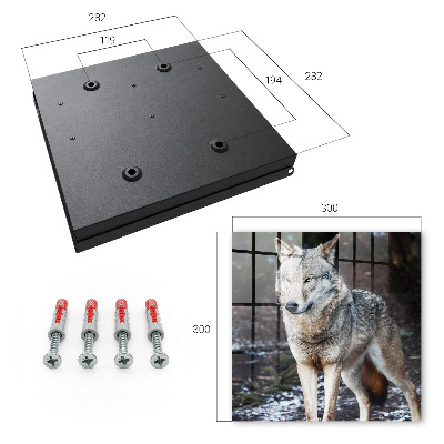 Caja para llaves diseño lobo en el bosque