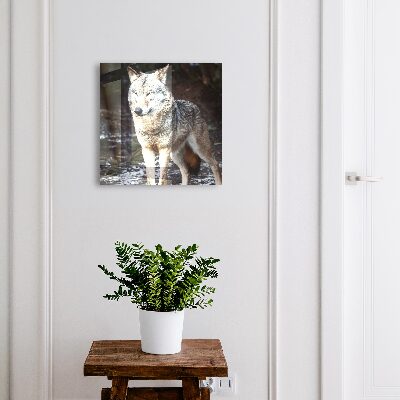 Caja para llaves diseño lobo en el bosque