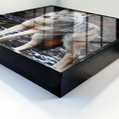 Caja para llaves diseño lobo en el bosque