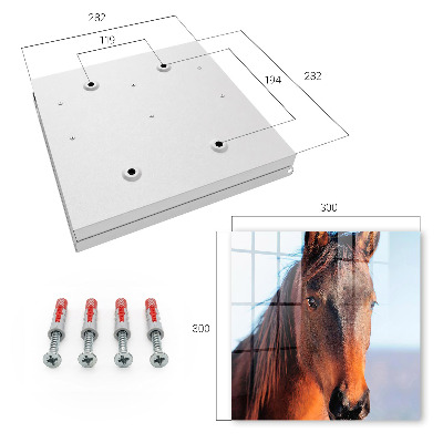Caja para llaves con diseño de retrato de un caballo