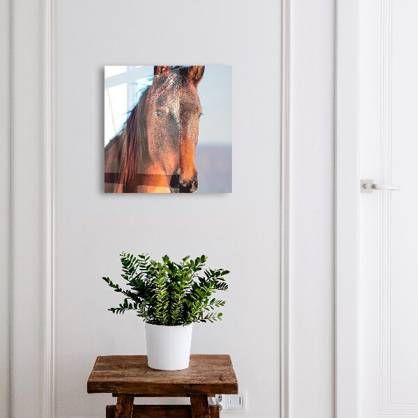 Caja para llaves con diseño de retrato de un caballo