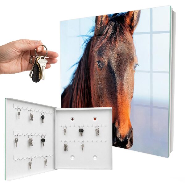 Caja para llaves con diseño de retrato de un caballo