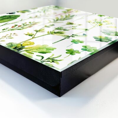 Armario para colgar llaves con diseño de plantas de acuarela