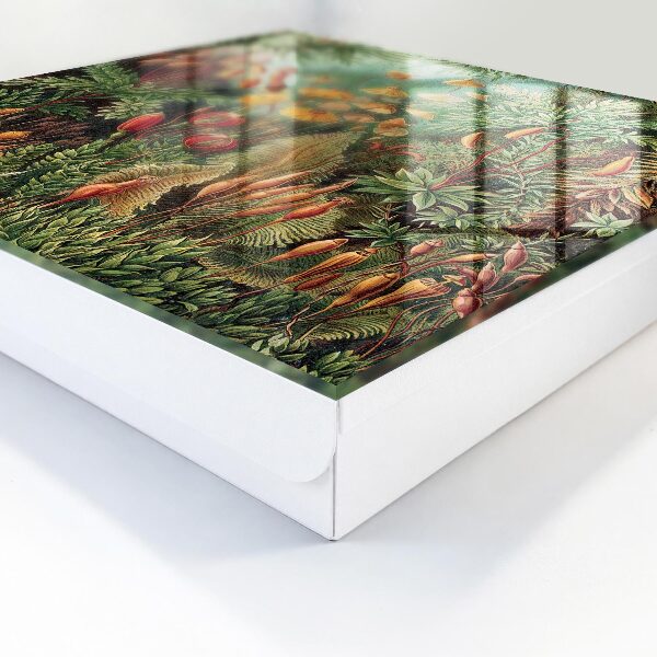 Caja para llaves con diseño de hojas verdes
