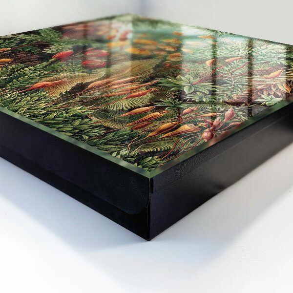 Caja para llaves con diseño de hojas verdes