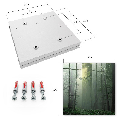 Armario para colgar llaves con diseño de niebla forestal