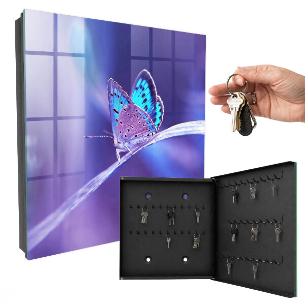 Armario para llaves con diseño de mariposa colorida