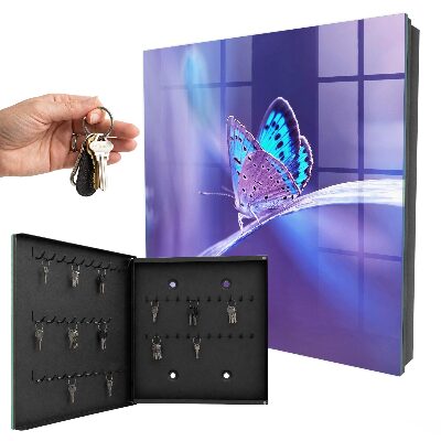 Armario para llaves con diseño de mariposa colorida