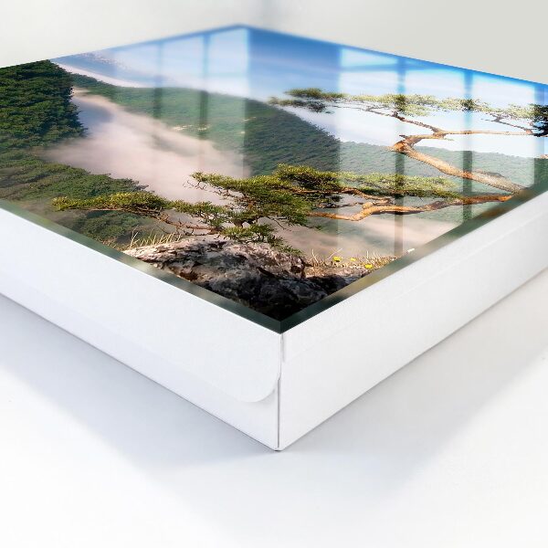 Armario para llaves con diseño de paisaje de montaña