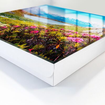 Armario para llaves con diseño de paisaje de montaña