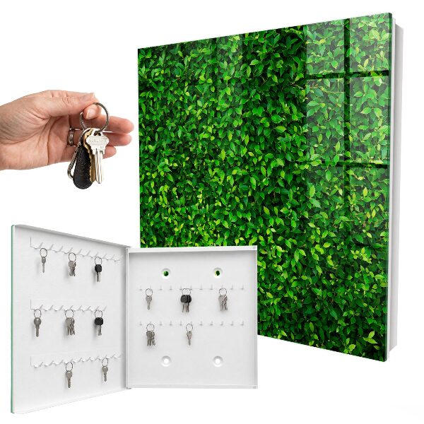 Armario para llaves diseño jardín verde