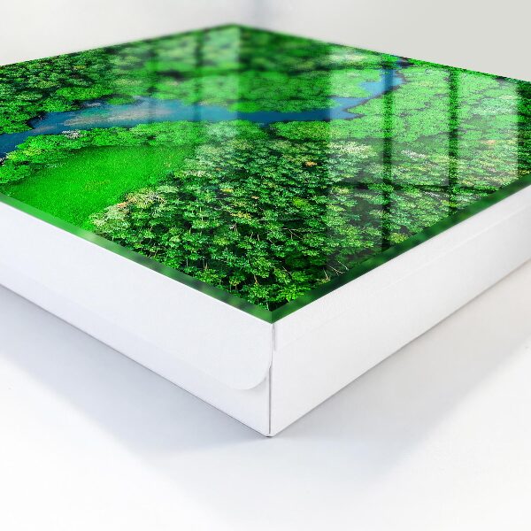 Caja para llaves diseño bosques verdes