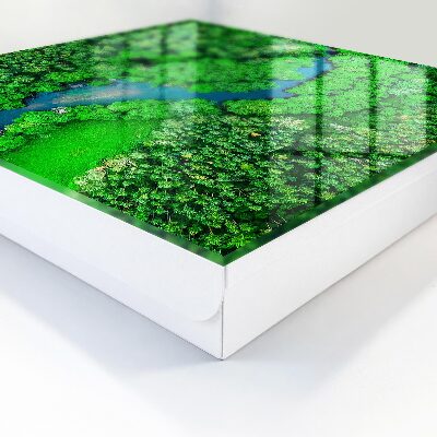 Caja para llaves diseño bosques verdes