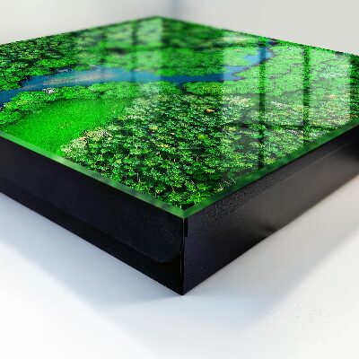 Caja para llaves diseño bosques verdes