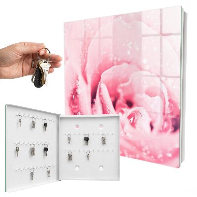 Armario para colgar llaves diseño en color rosa delicadeza