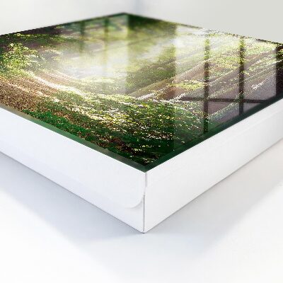 Caja para llaves con diseño de paisaje forestal