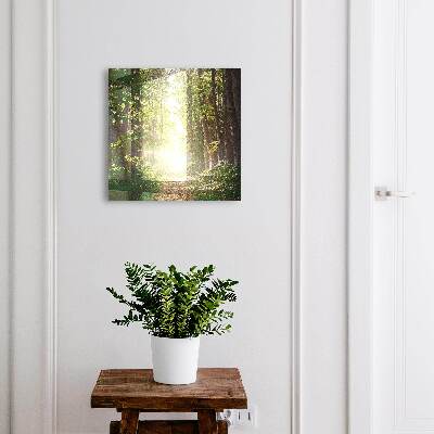 Caja para llaves con diseño de paisaje forestal